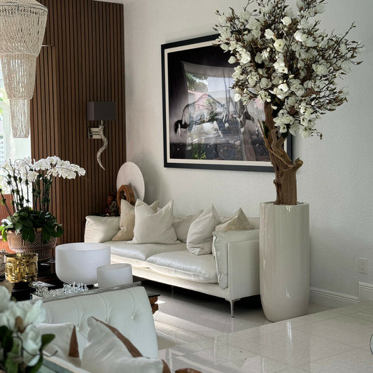 Weißer Magnolienbaum im glänzenden St. Tropez Beige Topf