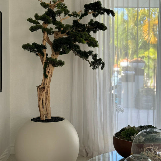 Bonsai-Baum im kugelförmigen Pflanzgefäß – 180 cm, Satinbeige