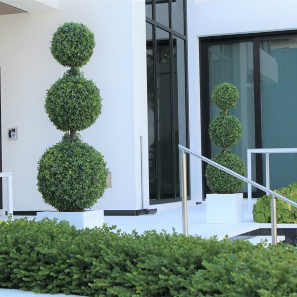 Dreifachkugel-Topiary mit mittelgroßem Fiberglas-Topf